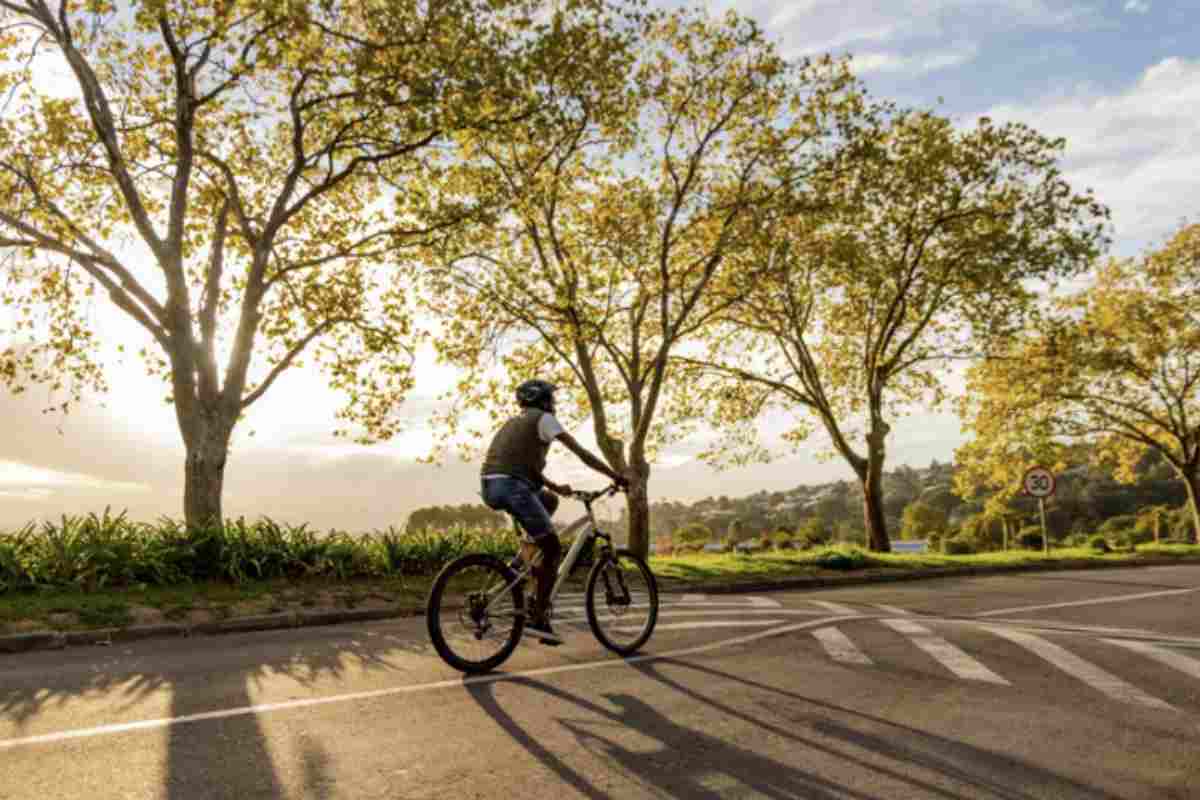 Percorsi da fare in bici al'Isola d'Elba