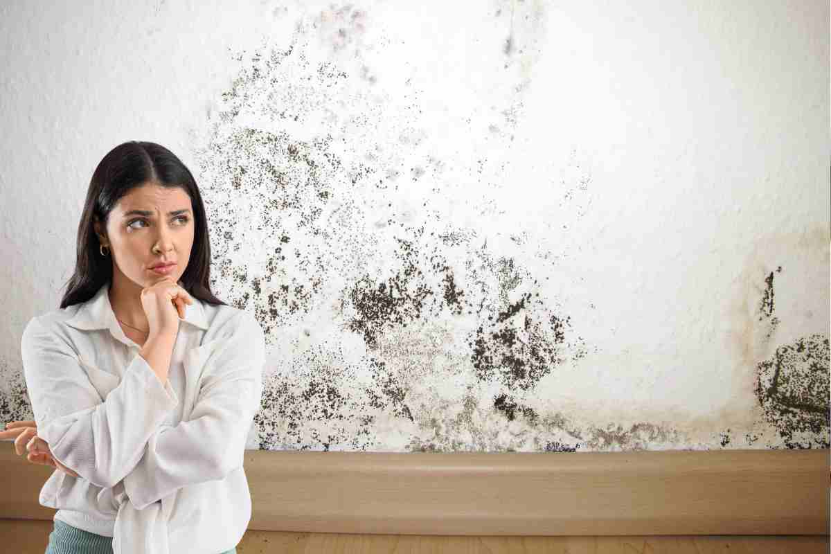 Muffa sulle pareti, basta 1 € per risolvere il problema