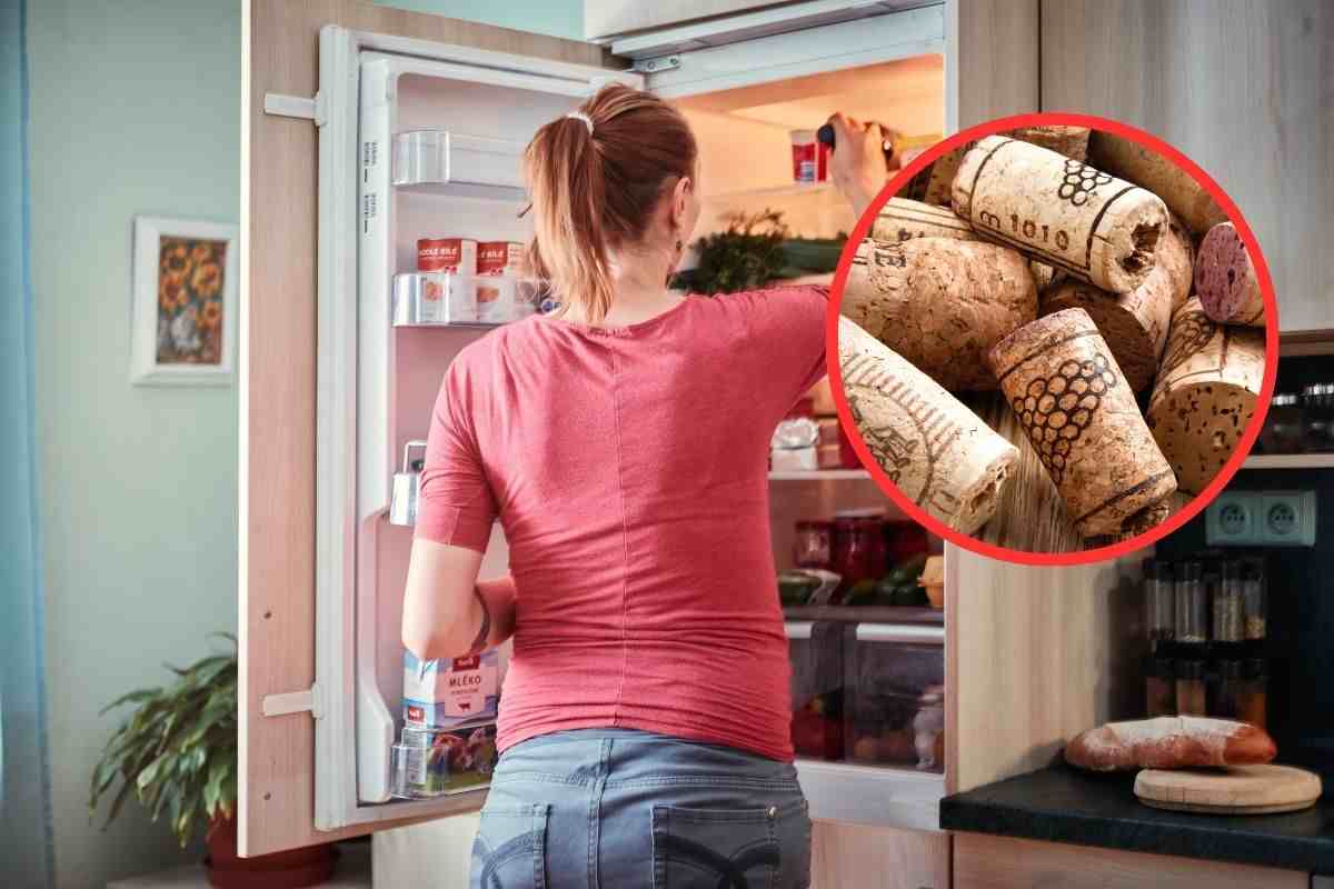tappi sughero perché metterli nel frigo: risparmi sulla bolletta