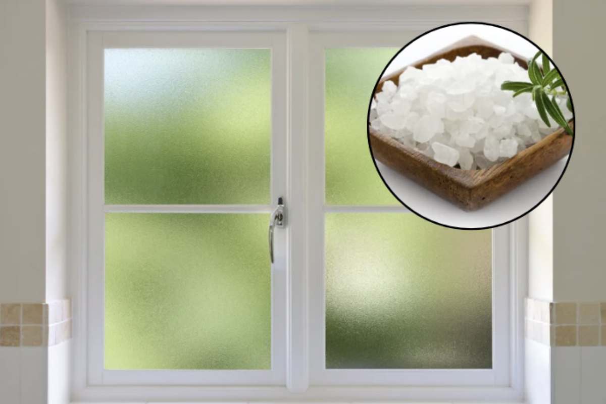 Una soluzione semplice ed efficace che sta guadagnando popolarità è quella di posizionare il sale vicino alle finestre.