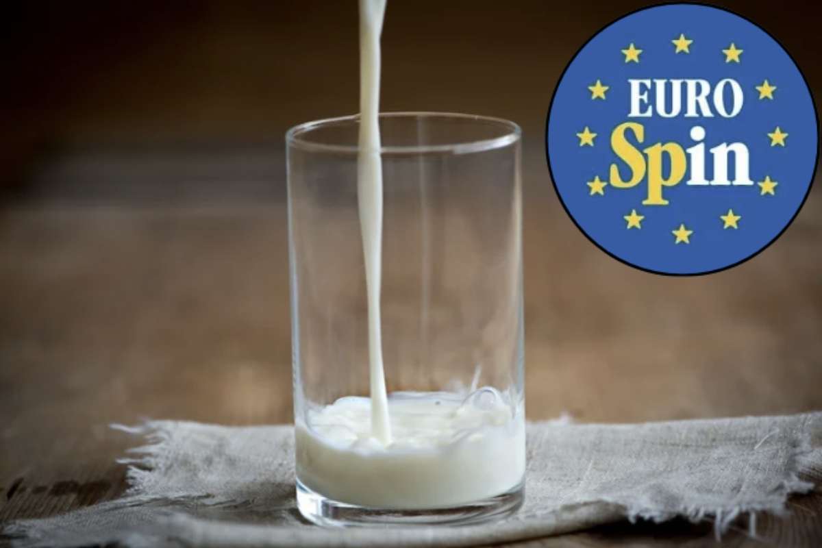 Tra le scelte più diffuse vi è la spesa nei discount, con Eurospin in testa alle preferenze degli italiani. Tra i prodotti più apprezzati spicca senza dubbio il latte Land