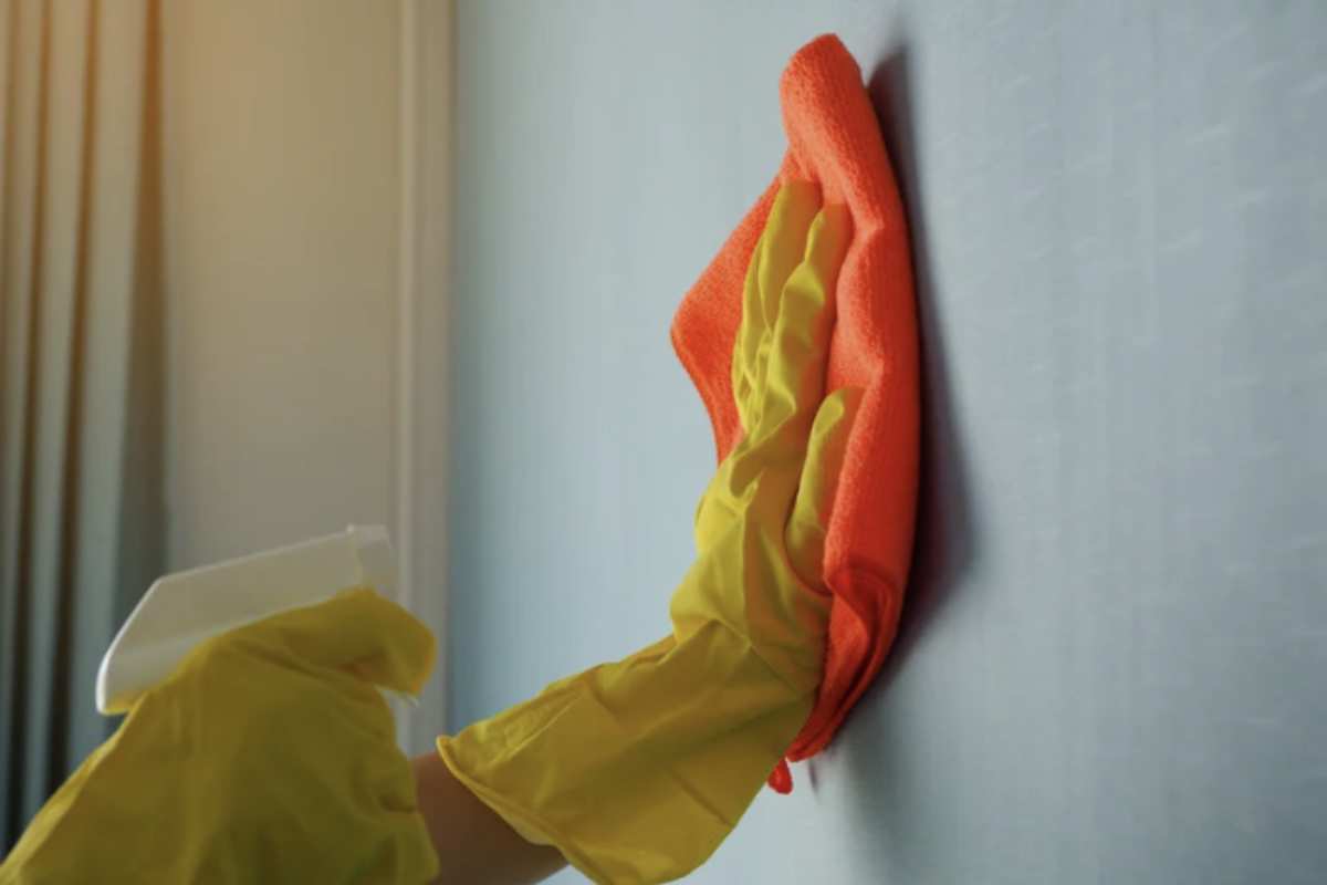 la soluzione di acqua calda e sapone neutro o bicarbonato è la più indicata, con risciacquo finale per eliminare ogni residuo.