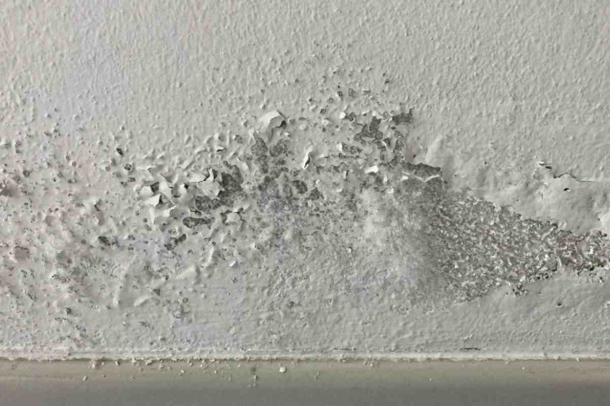 L’eccesso di umidità domestica non solo compromette l’estetica delle abitazioni con la formazione di muffe e macchie,